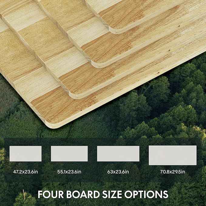 FlexiSpot E6 Solid Wood 3-Stage Dual Motor 55 x 24 Electric Standing Desk, Holds 220 lbs, Adjustable Height w/ Memory Presets, Butcher Block Rubberwood Desktop & White Frame, Ships in 2 Boxes