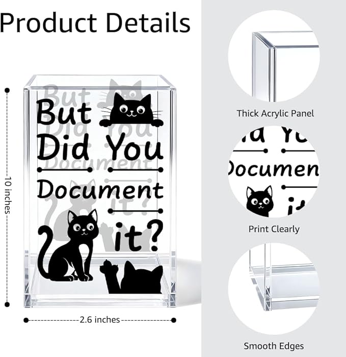 But Did You Document It Acrylic Cosmetic Organizer Pen Holder, Black Cats Acrylic Desk Holder Cup for Pen Pencil, Humorous Office Gifts for Black Cats Lover Coworker Mentor Behavior Analyst