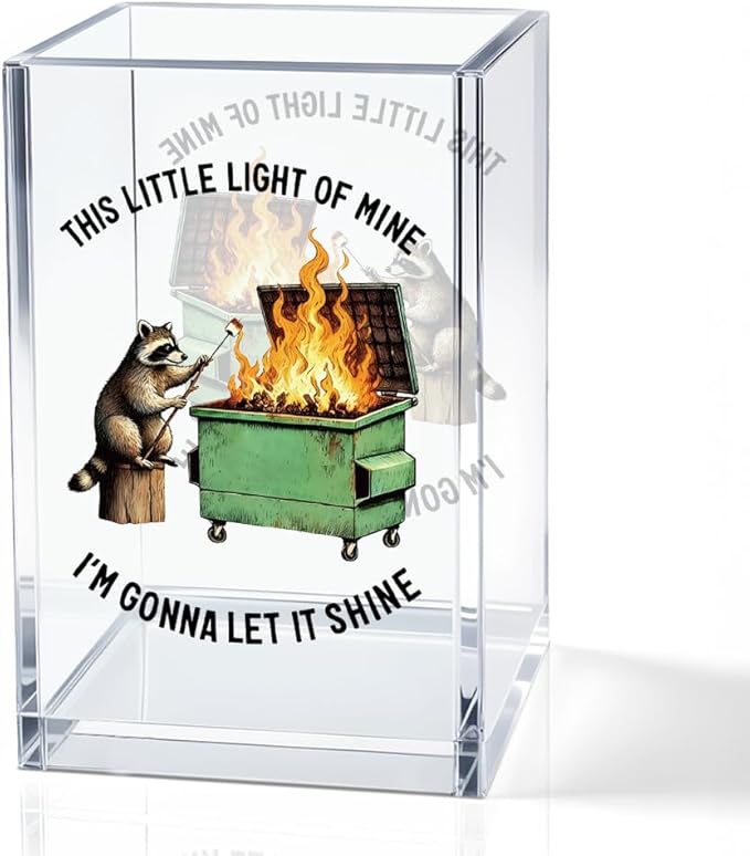 This Little Light Of Mine I'm Gonna Let It Shine Acrylic Cosmetic Pencil Holder Cup, Funny Raccoon Dumpster Fire Pen Holder Gifts For Women Men Friends HR Doctor, Office Gifts for Coworkers
