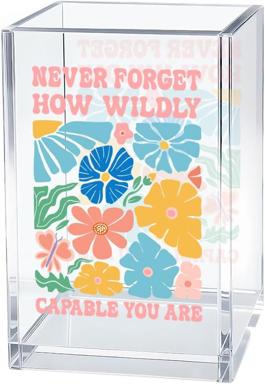 How Wildly Capable You Are Acrylic Cosmetic Organizer Pen Holder, Mental Health Desk Storage Accessory for Pencil, Inspirational Office Gifts for Coworker Leader Director Boss Bestie