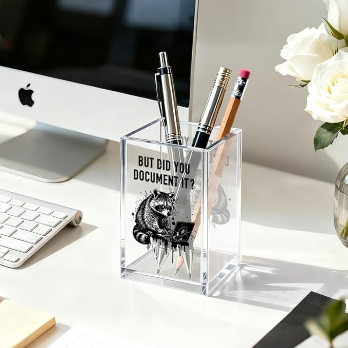 But Did You Document It Acrylic Cosmetic Organizer Pen Holder, Funny Acrylic Desk Holder Cup for Pen Pencil, Sarcastic Office Gifts for Coworker Mentor, Humorous Gifts for Racoon Lover Staff
