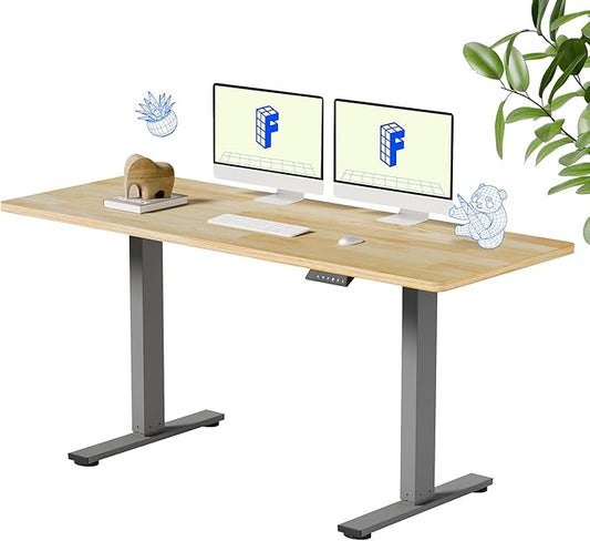 FLEXISPOT EN1 One-Piece Solid Wooden Standing Desk 63 x 24 Inches Height Adjustable Electric Sit Stand Home Office Desks (Silver Frame + Rubber Wood Top, 2 Packages)
