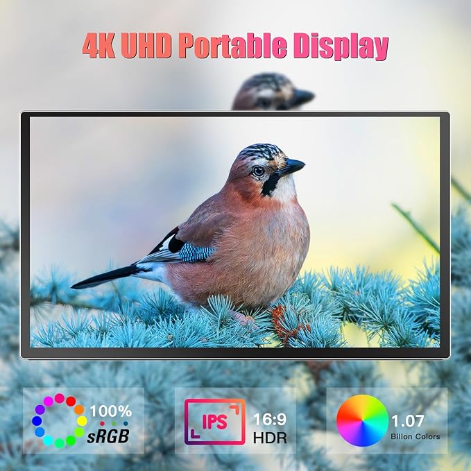 4K 18.5 Inches Portable Monitor Super Thin Portable Display Screen 3840 x 2160 Type-C HDMI HDR Travel External Monitor with VESA Kickstand for PS5 Switch Xbox Laptop Desktop Phone