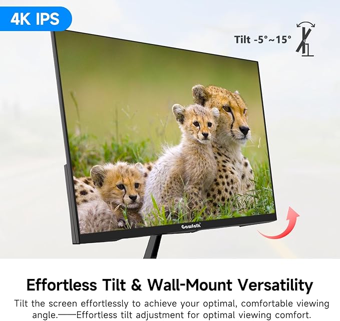 Gawfolk 27 Inch 4K Monitor IPS 60Hz, UHD 3840 x 2160p PC Monitors, Computer Dispaly for Home & Office, Support HDMI & DP, Wall Mount Compatible