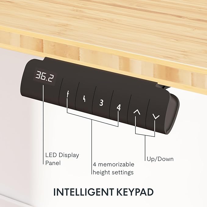 FlexiSpot E6 Bamboo 3-Stage Dual Motor Electric Standing Desk 48 x 24 Sit Stand Up Desk, Holds 220 lbs, Adjustable Height w/ Memory Presets, Solid Bamboo Desktop & Black Frame, Ships in 2 Boxes