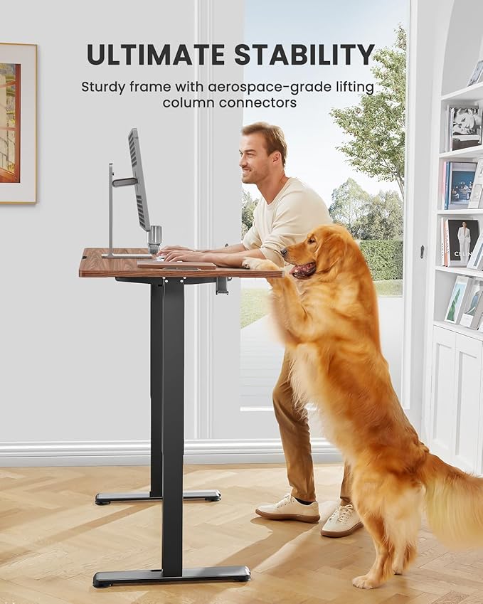 ErGear Electric Standing Desk, 44 x 24 Inches Height Adjustable Stand up Desk, Sit Stand Home Office Desk, with Two-Piece Desktop (Espresso)
