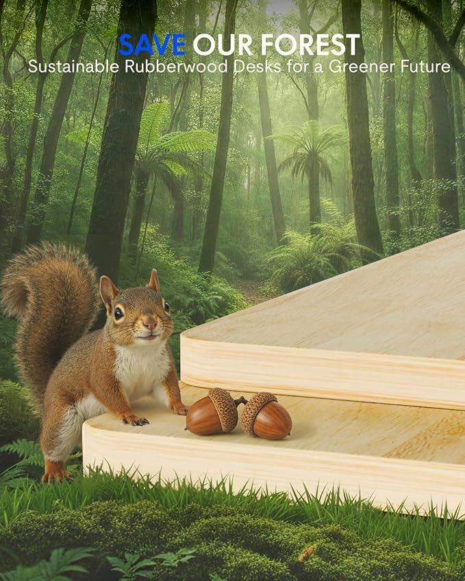 FLEXISPOT EN1 One-Piece Solid Wooden Standing Desk 48 x 24 Inches Height Adjustable Electric Sit Stand Home Office Desks (Silver Frame + Rubber Wood Top, 2 Packages)