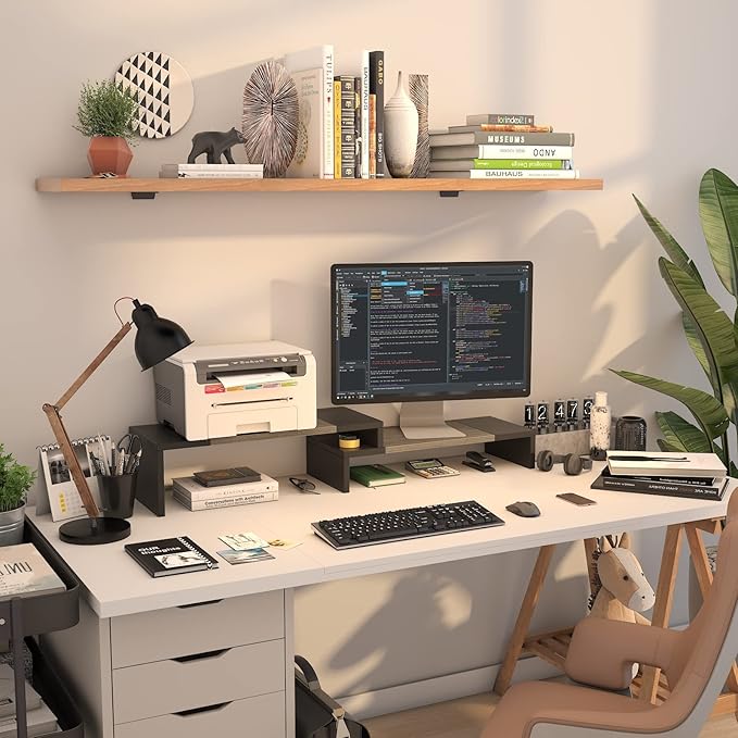 WESTREE Dual Monitor Stand Riser - 2 Shelf Computer Stand with Adjustable Length and Angle, Desktop Organizer for 2 Monitors