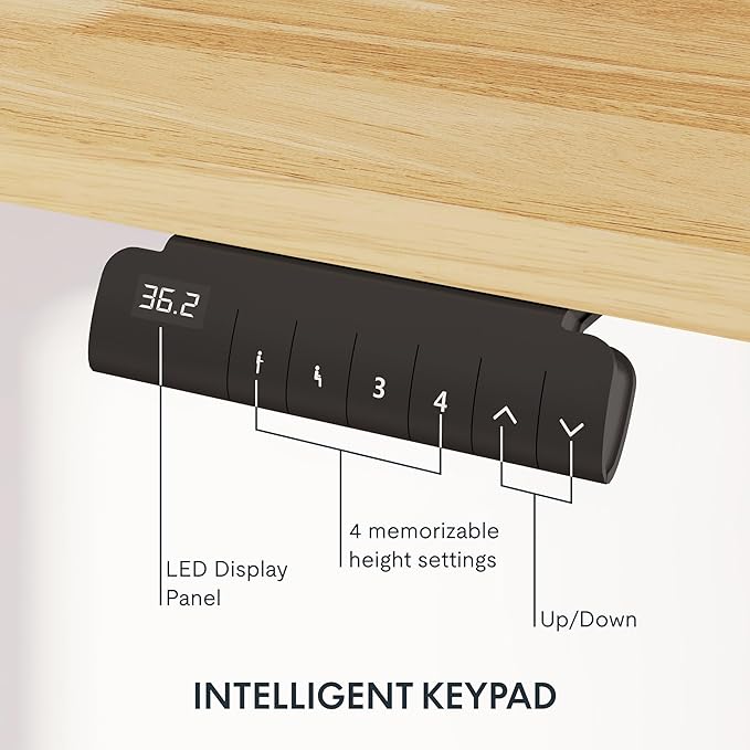 FlexiSpot E6 Solid Wood 3-Stage Dual Motor 48 x 24 Electric Standing Desk, Holds 220 lbs, Adjustable Height w/ Memory Presets, Butcher Block Rubberwood Desktop & White Frame, Ships in 2 Boxes