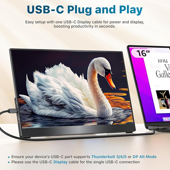 Portable Monitor 15.6 inch 1080P FHD 88% sRGB 60Hz, Travel Monitor for Laptop MacBook Surface PC Xbox PS5, HDMI Dual USB-C VESA Compatible Built-in Speaker, with Kickstand