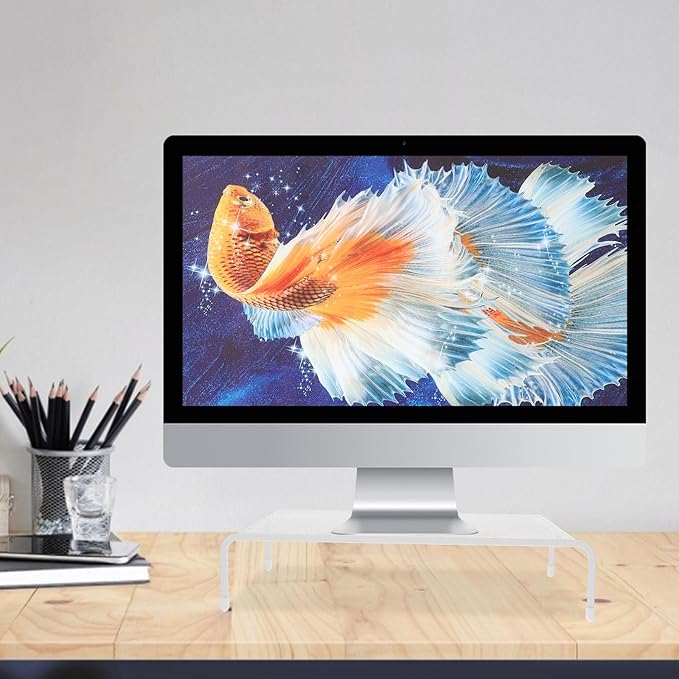 Veemoon Monitor Stand Riser for Desk, Single-Layer Desktop Computer Screen Riser with Storage Organizer, Laptop Holder Rack for Office and Home Workstation