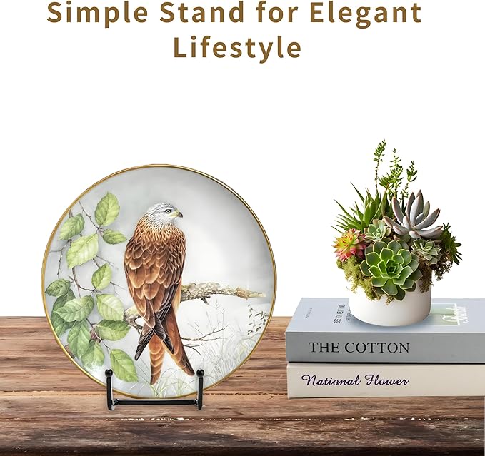 12 Pack 6"Plate Stands for Display,Metal Plate Holders Display Stands Can Be Used for Picture Stands,Book Stands for Display,Plate Display Stands,Easel,Photo Frame Stands,Plaque Stands,Desktop Stand.