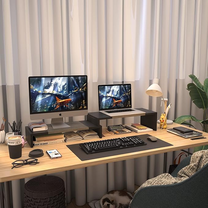 WESTREE Dual Monitor Stand Riser - 2 Shelf Computer Stand with Adjustable Length and Angle, Desktop Organizer for 2 Monitors