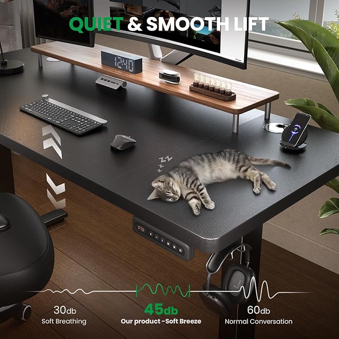 SIAGO Electric Standing Desk Adjustable - 48 x 24 Inch Sit Stand up Desk with Cable Management - 3 Memory Preset Adjustable Height Table