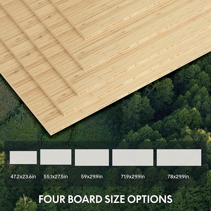 FlexiSpot E6 Bamboo 3-Stage Dual Motor Electric Standing Desk 55 x 28 Sit Stand Up Desk, Holds 220 lbs, Adjustable Height w/ Memory Presets, Solid Bamboo Desktop & White Frame, Ships in 2 Boxes