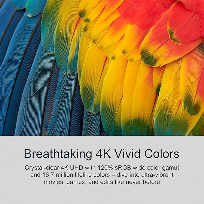 32 Inch 4K UHD Monitor, 3840 x 2160 Fast IPS Computer Monitor, 3000:1 Contrast, sRGB 120%, Blue Light Filter, Free-Sync, Zero Frame Screen With HDMI, DisplayPort for Home and Office, VESA(100x100mm)