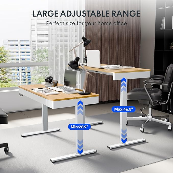 FLEXISPOT Q5 Standing Desk with Drawer, 48 x 24 Inch Electric Adjustable Height Stand Up Desk with Storage Organizer, Whole Piece Wooden Desktop for Home, Office, Computer Workstation, Maple