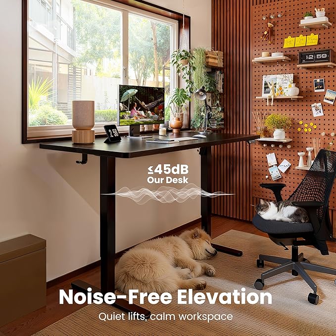 ErGear Height Adjustable Electric Standing Desk, 47.2 x 23.6 Inches Sit Stand up Desk, Memory Computer Home Office Desk (Black)